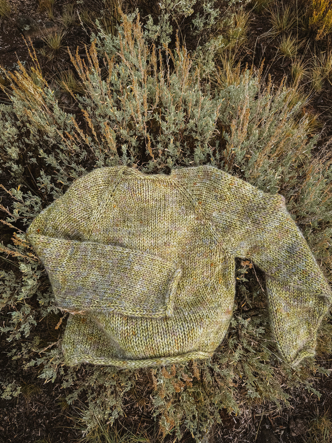 Sagebrush sweater (S/M)